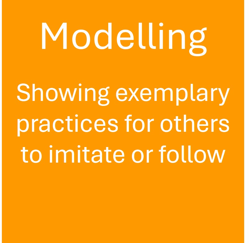 Modelling